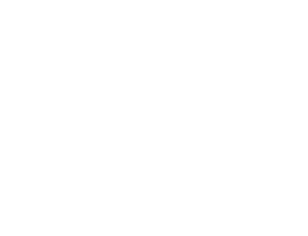 Anthony Consulting Wappen